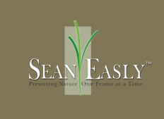 Sean Easly Photography - Preserving nature one frame at a time